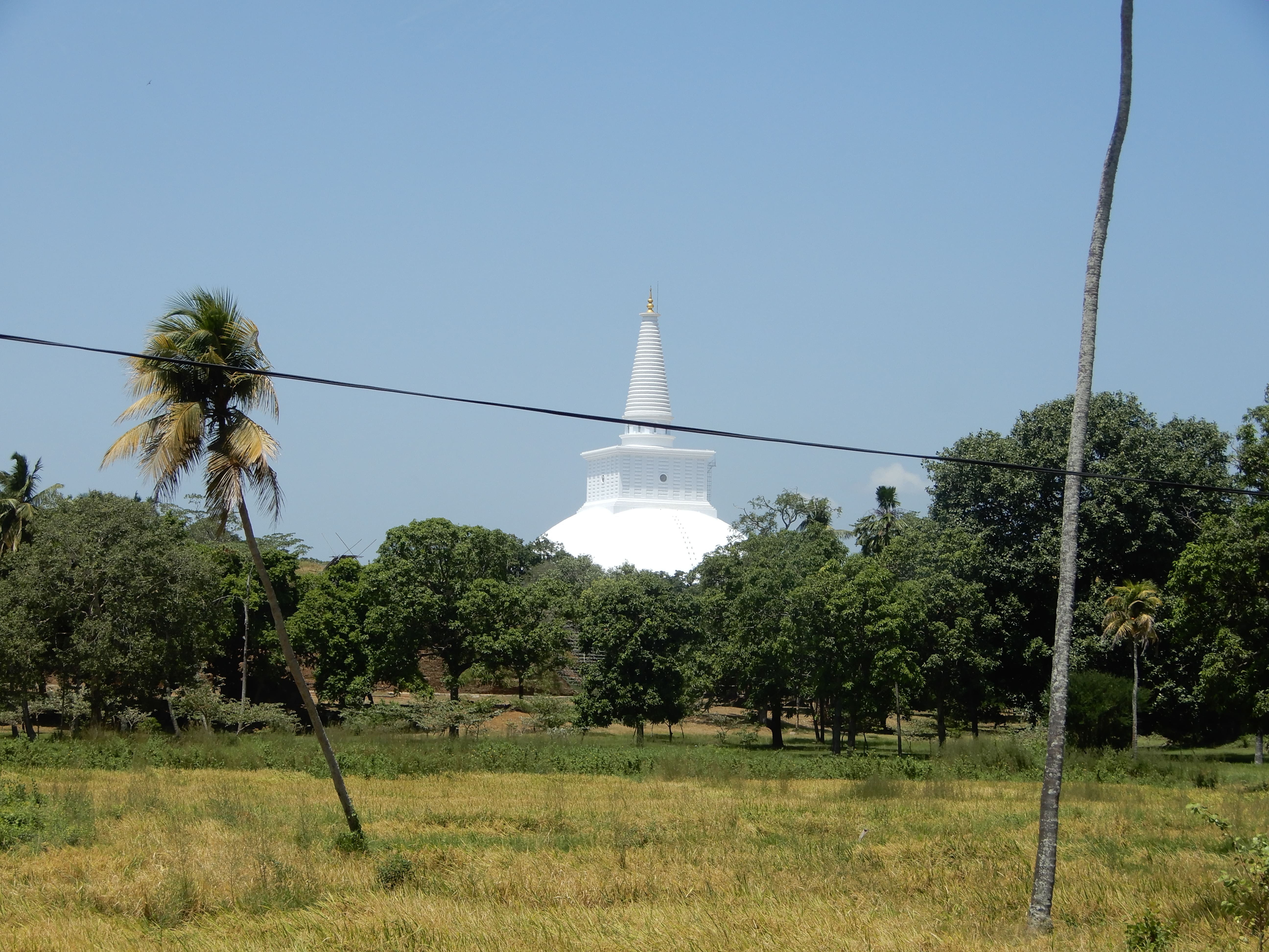 Srilanka, a tropical paradise known for its stunning landscapes, rich culture, and vibrant wildlife. 