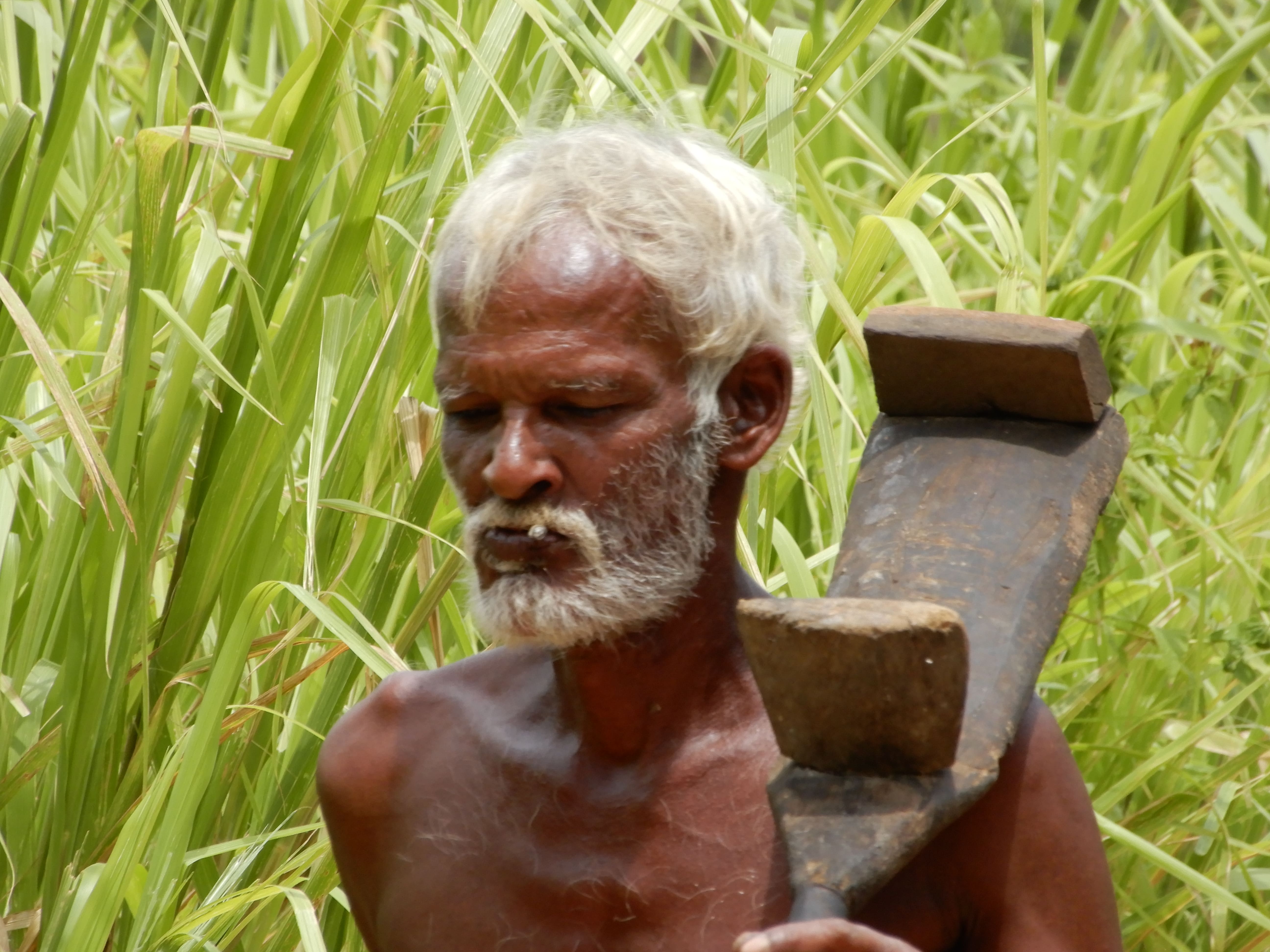 Srilanka, a tropical paradise known for its stunning landscapes, rich culture, and vibrant wildlife.