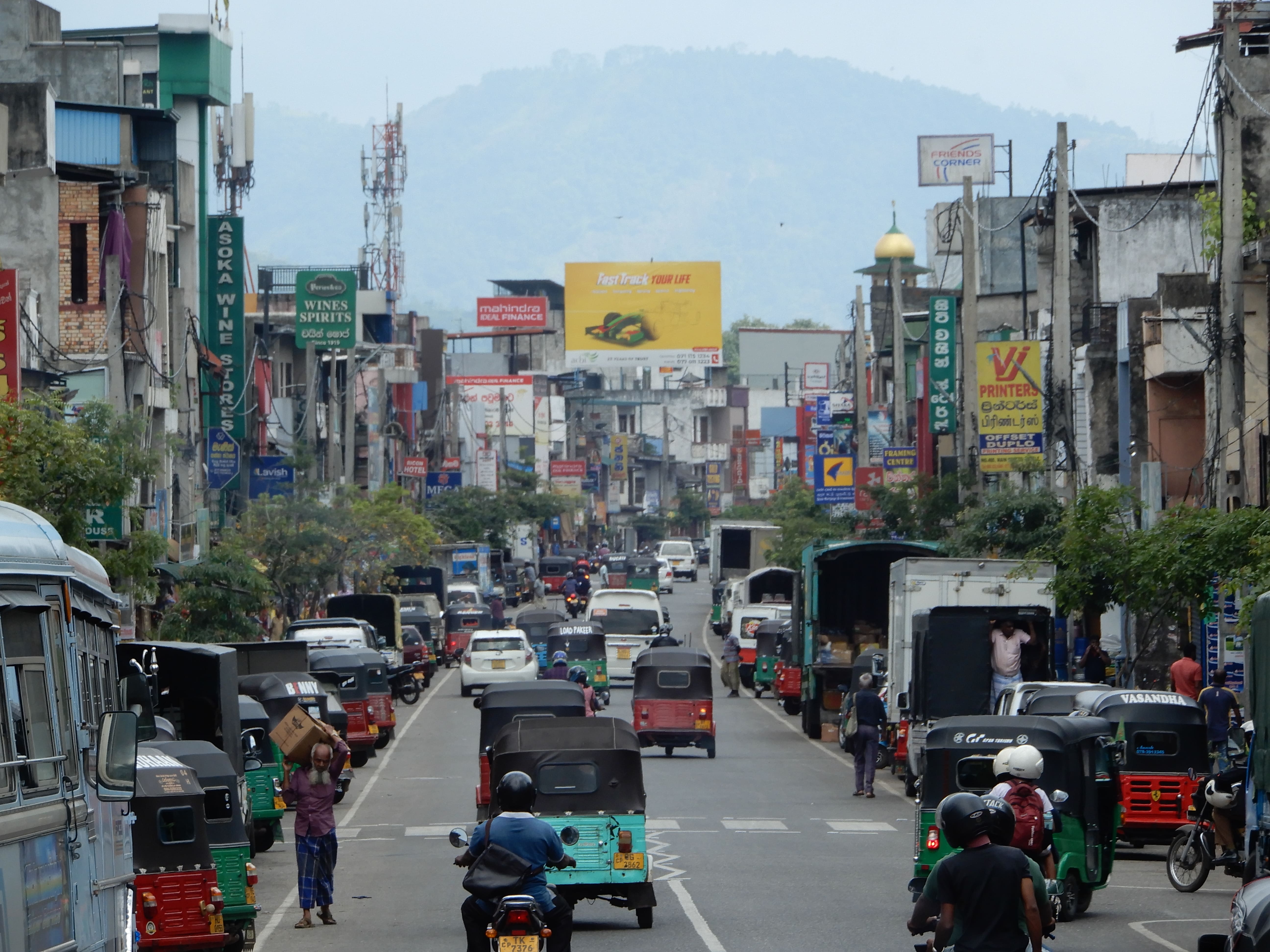 Srilanka, a tropical paradise known for its stunning landscapes, rich culture, and vibrant wildlife.