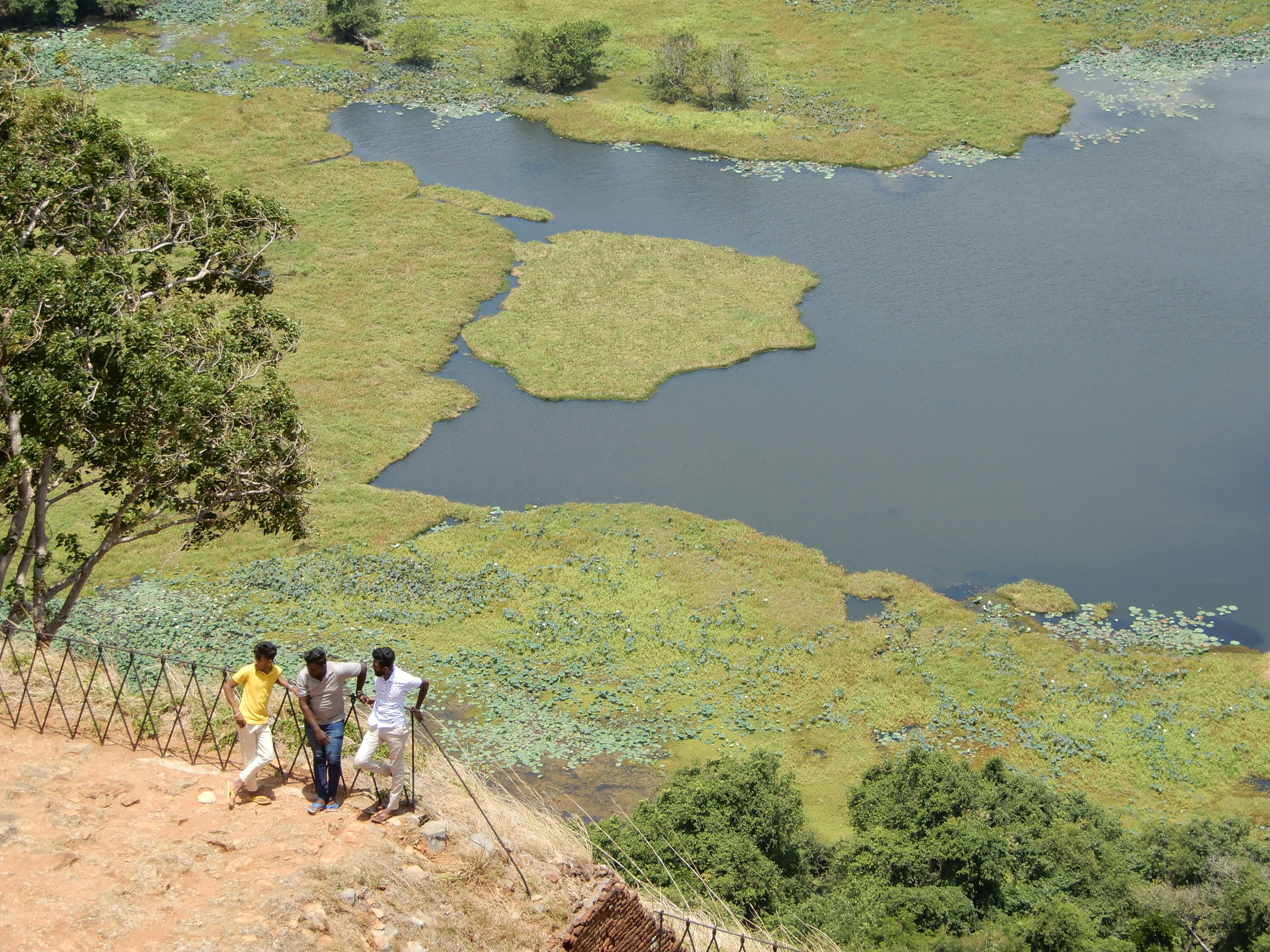 Srilanka, a tropical paradise known for its stunning landscapes, rich culture, and vibrant wildlife.